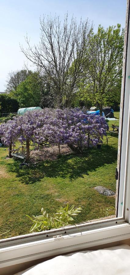 Wisteria House Bed & Breakfast Chanteloup  ภายนอก รูปภาพ