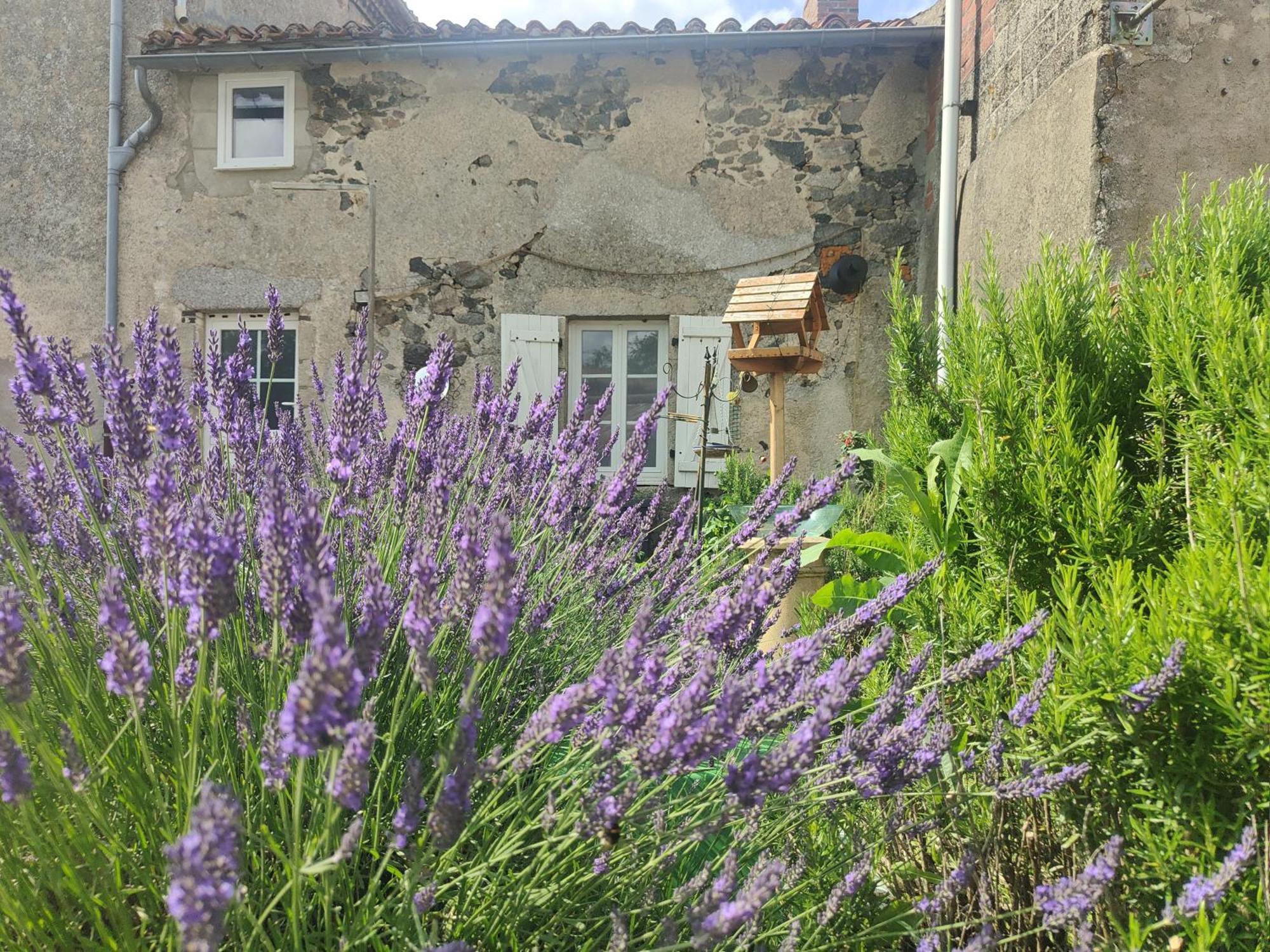 Wisteria House Bed & Breakfast Chanteloup  ภายนอก รูปภาพ