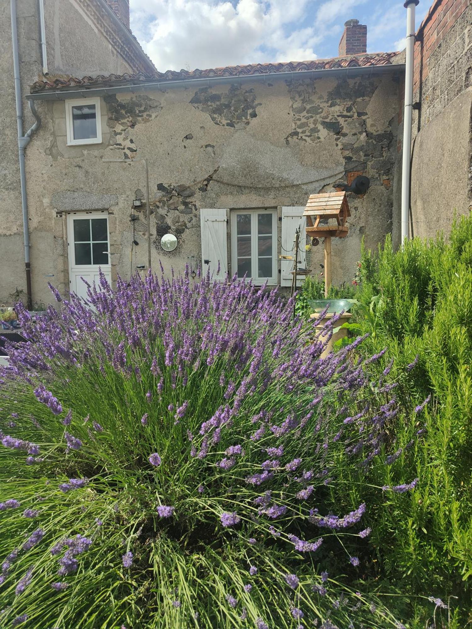 Wisteria House Bed & Breakfast Chanteloup  ภายนอก รูปภาพ