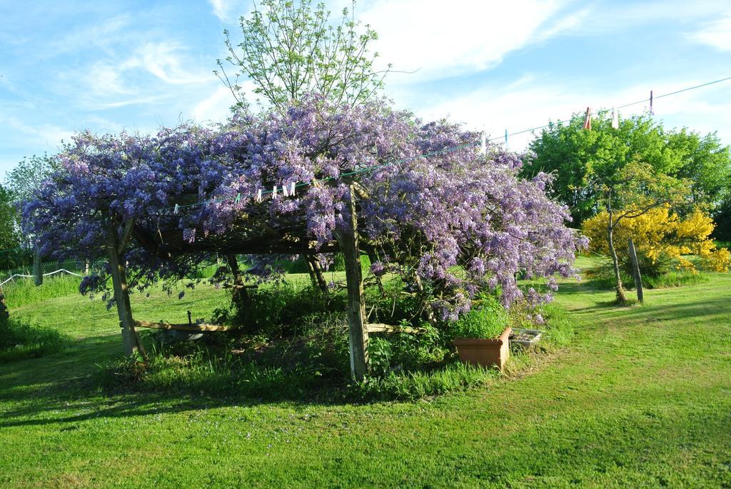 Wisteria House Bed & Breakfast Chanteloup  ภายนอก รูปภาพ
